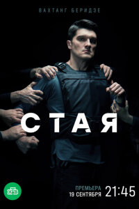 смотреть  Стая  сериал(2022)